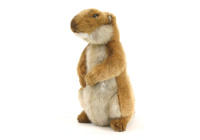 Prairie Dog Young 7 in. (3683)