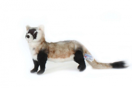 Black footed store ferret stuffed animal