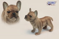 French Bulldog Beige 10