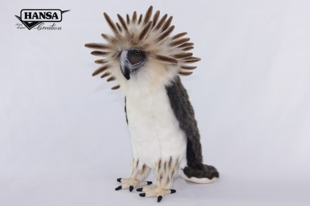 Philippine Eagle 7368