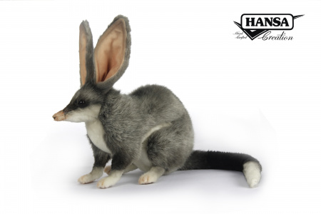 Bilby shop soft toy