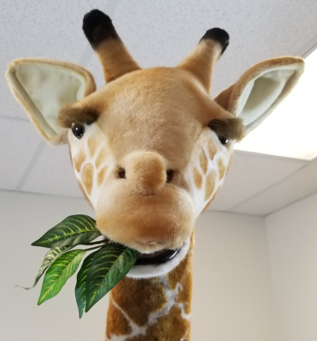 hansa life size giraffe