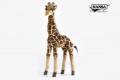 Giraffe, Baby (7810)