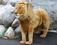 Standing Lion 69