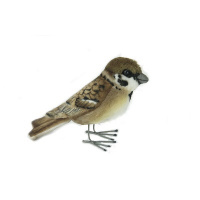 Sparrow 3.6
