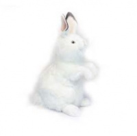 White Bunny 20