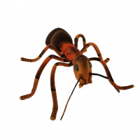 Ant 9.85