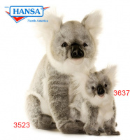 Koala, Happy Baby (3637)