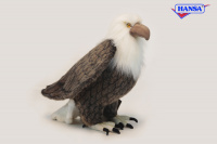 American Eagle (2791) - FREE SHIPPING!
