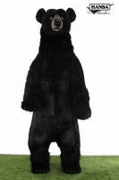 Black Bear Standing 8' (8503) - FREE SHIPPING!