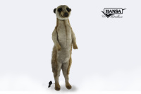 Hansatronics Meerkat 35