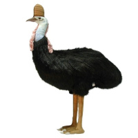 Cassowary 29.53