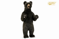 Black Bear Upright 40