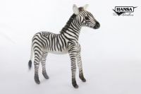 Zebra Baby 10.24