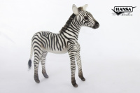 Zebra Baby 10.24