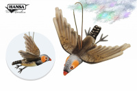 Zebra Finch Flying 8.3