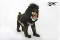 Mandrill Monkey 15