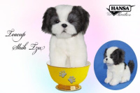 Shih Tzu Tea Cup 6