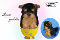 Yorkie Tea Cup 6