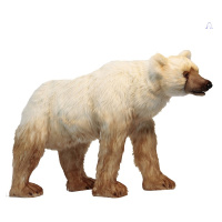 Pershian Bear 53
