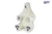Polar Bear Sitting 47