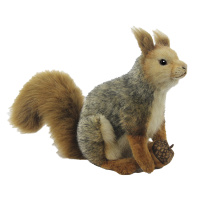 Gray Squirrel Sitting 10L