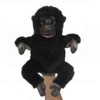 Gorilla Puppet 11.2