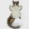 Brush Tailed Possum Hand Puppet 17.5