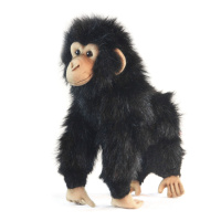 Chimp 12 in. (5359)