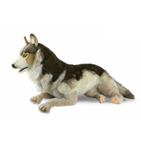 Wolf Laying 57 in. (8687) - FREE SHIPPING!