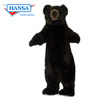 Black Bear, Honey Luv on 3 ft (4812)