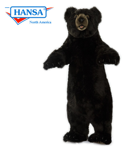 Black Bear, Honey Luv on 3 ft (4812)