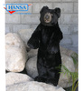 Black Bear Cub, Fritz (5006)