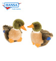 Duck, Baby Mallard (3570)