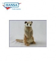 Meerkat, Adult (4576)