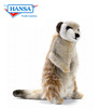 Meerkat, Young up on 2 feet (3703)