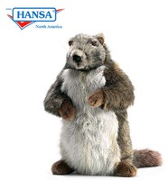 Marmot, (Groundhog) Mama (3764)