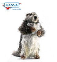 Marmot, (Groundhog) Baby (3830)