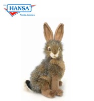 Rabbit, Bunny (3581)