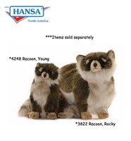 Racoon, Rocky (3822)